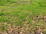 Terrain à bâtir à Gujan-Mestras (33470) 2220173-11279annonce1202507100l4i6.jpeg Maisons France Confort