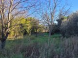 Terrain à bâtir à Cruas (07350) 2223777-812annonce420250715Tslo9.jpeg Maisons France Confort