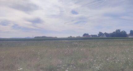Muntzenheim Maison neuve - 2227630-5767annonce220250718qrCEW.jpeg Maisons France Confort