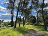 Terrain à bâtir à Guzargues (34820) 2184352-3243annonce120250721PXUSg.jpeg Maisons France Confort