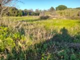 Terrain à bâtir à Puget-Ville (83390) 2232714-4866annonce120250724pL3uw.jpeg Maisons France Confort