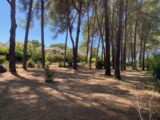 Terrain à bâtir à Éguilles (13510) 2236583-7060annonce220250729eVHZr.jpeg Maisons France Confort