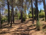 Terrain à bâtir à Éguilles (13510) 2236583-7060annonce420250729QwF29.jpeg Maisons France Confort