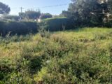 Maison à construire à Saint Aygulf (83370) 2245069-9911annonce120250813EDriX.jpeg Maisons France Confort