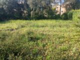Terrain à bâtir à Saint Aygulf (83370) 2245057-9911annonce320250813hHaaG.jpeg Maisons France Confort