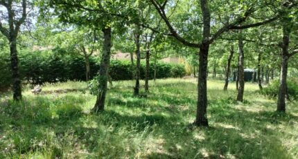 Régusse Maison neuve - 2181437-9891annonce1020250605gXuww.jpeg Maisons France Confort