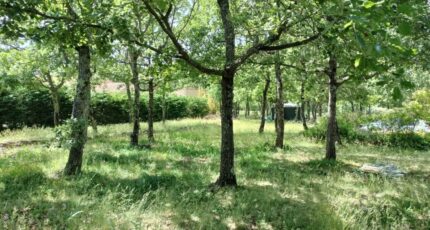 Régusse Maison neuve - 2181437-9891annonce620250605lGSEH.jpeg Maisons France Confort