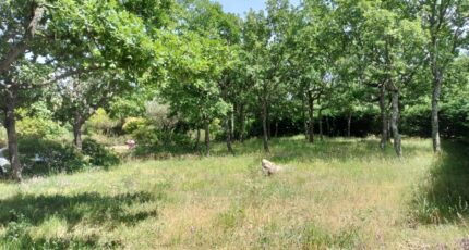 Régusse Maison neuve - 2181437-9891annonce620250605BArew.jpeg Maisons France Confort