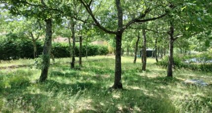 Régusse Maison neuve - 2181397-9891annonce720250605W3vFg.jpeg Maisons France Confort