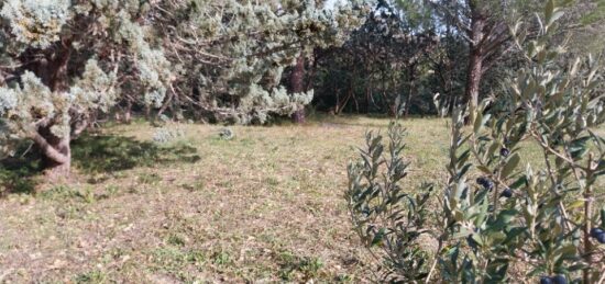 Terrain à bâtir à Roquebrune-sur-Argens, Provence-Alpes-Côte d'Azur