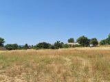 Maison à construire à Vinon-sur-Verdon (83560) 2246435-6932annonce220250818ZTTGv.jpeg Maisons France Confort