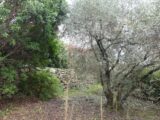 Terrain à bâtir à Goudargues (30630) 2255511-5100annonce2202509016gQJV.jpeg Maisons France Confort