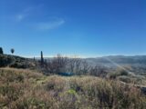 Terrain à bâtir à Cabris (06530) 2255530-11201annonce120250901SKMxX.jpeg Maisons France Confort