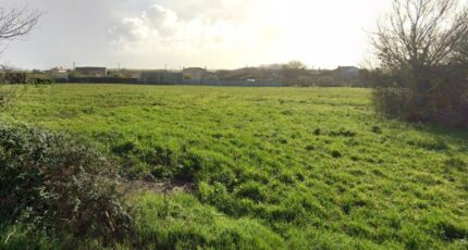 Ardillières Terrain à bâtir - 2256753-7092annonce120250901ZuRxv.jpeg Maisons France Confort