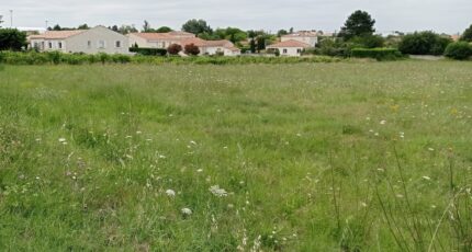 Meschers-sur-Gironde Terrain à bâtir - 2256793-7092annonce120250901NM1zm.jpeg Maisons France Confort