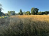 Terrain à bâtir à Saint-Maurice-de-Rotherens (73240) 2251429-11355annonce120250826TrbEq.jpeg Maisons France Confort