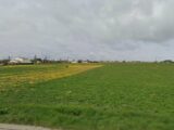 Terrain à bâtir à Nieulle-sur-Seudre (17600) 2257963-7092annonce120250902T3wwQ.jpeg Maisons France Confort