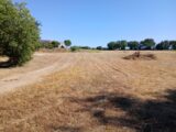 Terrain à bâtir à Vérargues (34400) 2258396-11040annonce120250902CQGix.jpeg Maisons France Confort