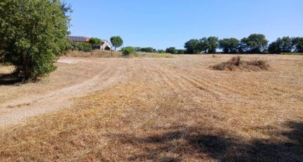 Vérargues Terrain à bâtir - 2258396-11040annonce120250902CQGix.jpeg Maisons France Confort