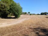 Maison à construire à Vérargues (34400) 2258443-11040annonce12025090239U9s.jpeg Maisons France Confort