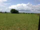 Terrain à bâtir à Champniers (16430) 2258456-11045annonce120250902FqG50.jpeg Maisons France Confort