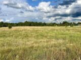 Maison à construire à Bazas (33430) 2258577-11273annonce120250903aAtra.jpeg Maisons France Confort