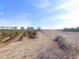 Terrain à bâtir à Alignan-du-Vent (34290) 2258866-11018annonce420250903C88A4.jpeg Maisons France Confort