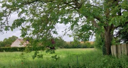 Orgerus Terrain à bâtir - 2259549-11589annonce120250903RTRJx.jpeg Maisons France Confort