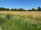 Terrain à bâtir à Lumigny-Nesles-Ormeaux (77540) 2260730-10844annonce120250904dpeww.jpeg Maisons France Confort