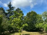 Maison à construire à Mettray (37390) 2261878-10804annonce120250905vVb8h.jpeg Maisons France Confort