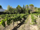 Terrain à bâtir à Draguignan (83300) 2263855-10295annonce120250908IZtXl.jpeg Maisons France Confort