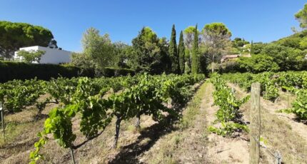 Draguignan Terrain à bâtir - 2263855-10295annonce120250908IZtXl.jpeg Maisons France Confort