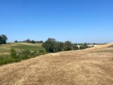 Maison à construire à Villefranche-de-Lauragais (31290) 2261510-11450annonce120250905l7ntv.jpeg Maisons France Confort