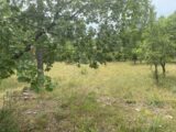 Terrain à bâtir à Toulon (83000) 2264382-5622annonce120250908H6Z9U.jpeg Maisons France Confort