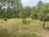 Terrain à bâtir à Toulon (83000) 2264382-5622annonce220250908bbUyA.jpeg Maisons France Confort
