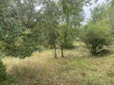 Terrain à bâtir à Toulon (83000) 2264382-5622annonce320250908I6E5P.jpeg Maisons France Confort