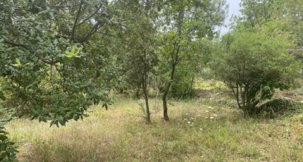 Toulon Terrain à bâtir - 2264382-5622annonce320250908I6E5P.jpeg Maisons France Confort