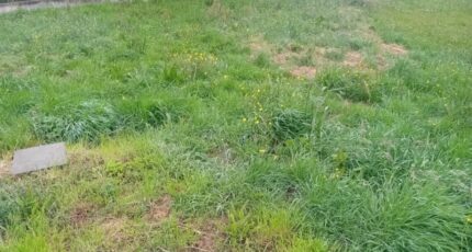 Le Teich Maison neuve - 2264537-11244annonce220250908uUeL5.jpeg Maisons France Confort
