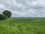 Maison à construire à Provin (59185) 2264369-10130annonce1202509089SIcS.jpeg Maisons France Confort