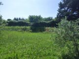 Terrain à bâtir à Brignoles (83170) 2265084-11039annonce320250909LatgU.jpeg Maisons France Confort