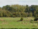 Terrain à bâtir à Tourmignies (59551) 2264947-1807annonce120250909M7L5c.jpeg Maisons France Confort