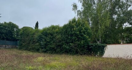 Saliès Terrain à bâtir - 2264034-2684annonce120250908CBP3S.jpeg Maisons France Confort