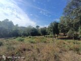Maison à construire à Taradeau (83460) 2265526-9911annonce1202509091FrhT.jpeg Maisons France Confort