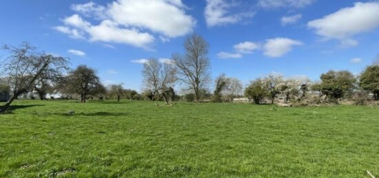 Terrain à bâtir à Avesnes-le-Comte, Hauts-de-France