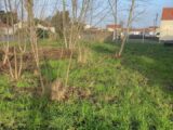 Terrain à bâtir à La Plaine-sur-Mer (44770) 2265109-11110annonce420250909EneiX.jpeg Maisons France Confort