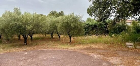 Terrain à bâtir à Puget-sur-Argens, Provence-Alpes-Côte d'Azur