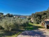 Terrain à bâtir à Puget-sur-Argens (83480) 2266154-10295annonce220250910FO8co.jpeg Maisons France Confort