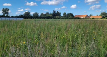 Audruicq Terrain à bâtir - 2265820-1587annonce120250909TumbU.jpeg Maisons France Confort