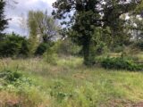 Terrain à bâtir à Bouc-Bel-Air (13320) 2266293-11115annonce120250910sDXZc.jpeg Maisons France Confort