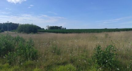 Gaillon Terrain à bâtir - 2266614-5689annonce1202509103lpBW.jpeg Maisons France Confort